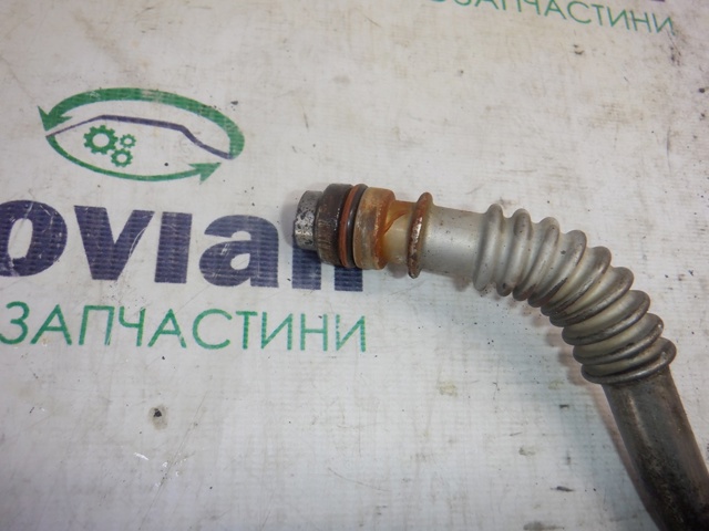 151980558R RENAULT купить в Львов