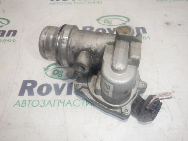 RENAULT 161A09794R Дроссельная заслонка в сборе в наличии Житомир