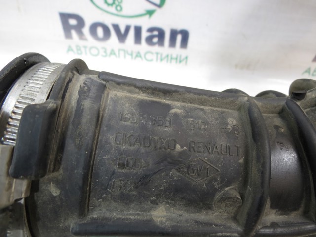 165753131R купить Черкассы