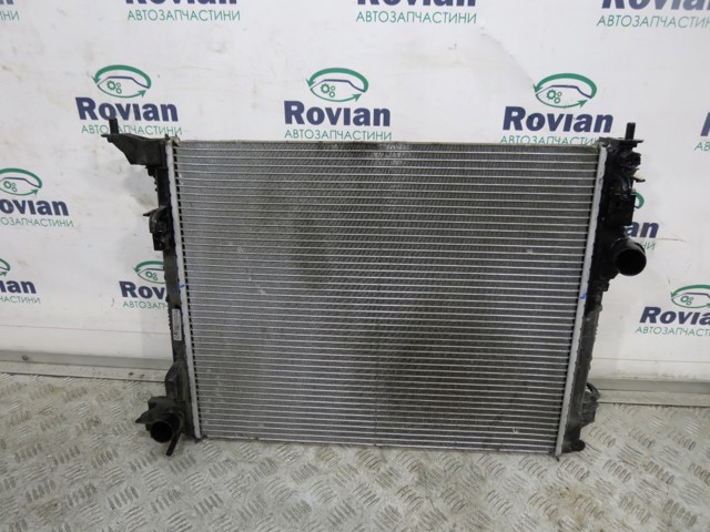 214108175R Радиатор охлаждения двигателя купить Чернигов