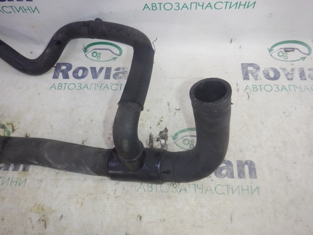 215036265R RENAULT Шланг (патрубок) радиатора охлаждения нижний купить в Сумы