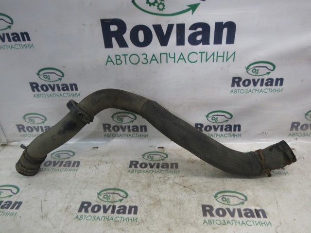 Шланг радиатора охлаждения 215038760R RENAULT