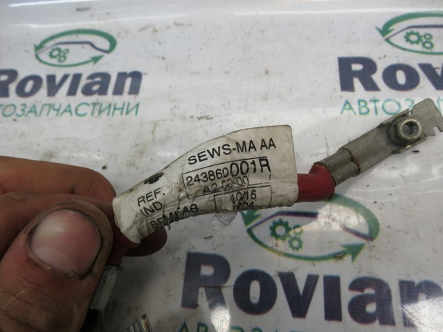 243860001R купить Полтава