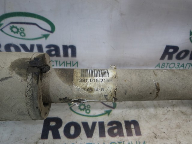 391015215R купить Павлоград