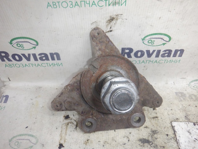 Цапфа - поворотный кулак задний, правый 430180834R RENAULT