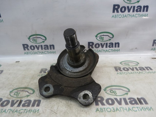 RENAULT 430190015R Цапфа задняя левая в наличии Ужгород