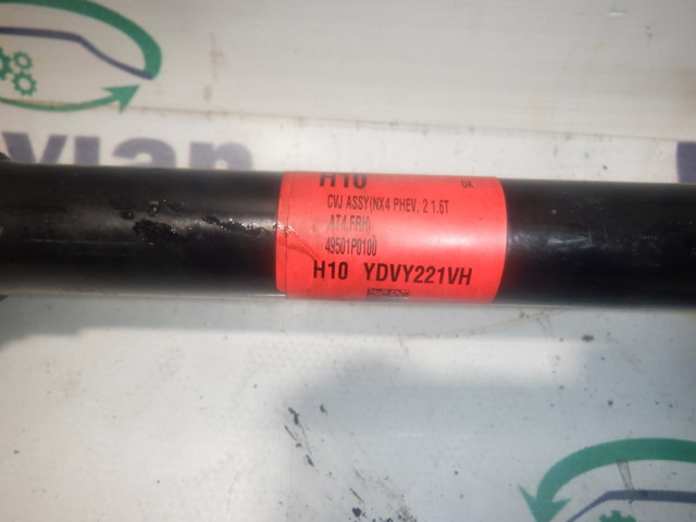 49501P0100 купить Николаев