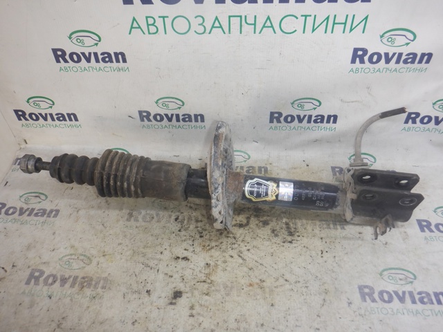 Амортизаторы передние 543025522R RENAULT