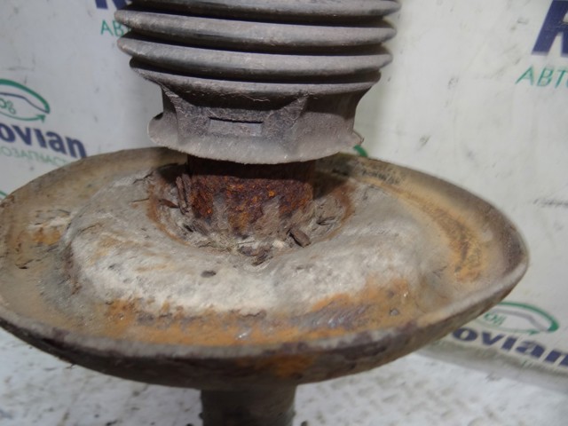 543028774R RENAULT Амортизатор передний купить в Кривой Рог