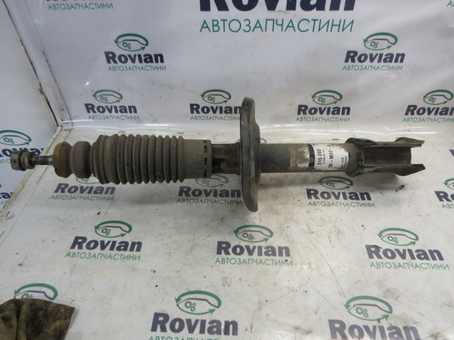 Амортизаторы передние 543028828R RENAULT