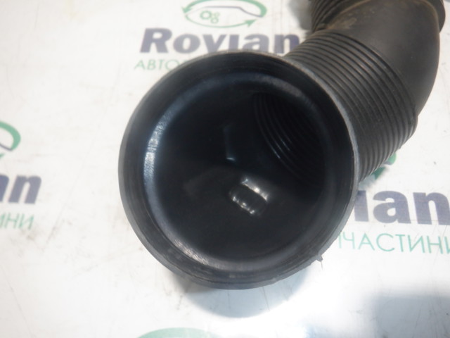 5QA129654H VAG