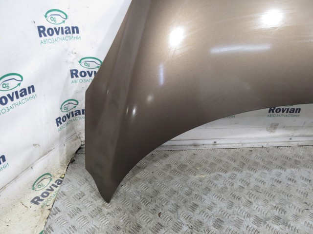 651000036R RENAULT Капот купить в Львов