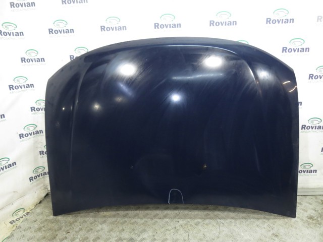 651006016R Renault (RVI)