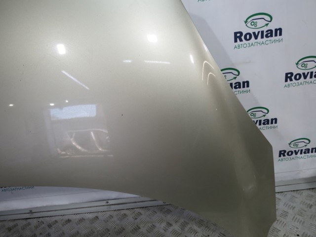 651008842R RENAULT Капот купить в Полтава