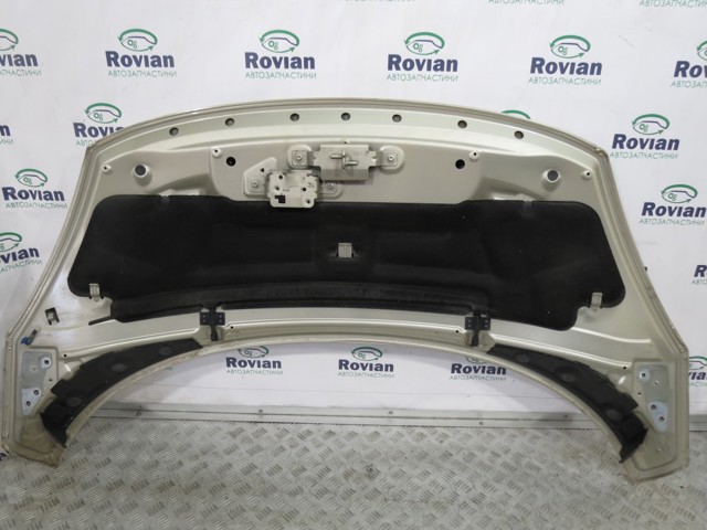 651008842R RENAULT Капот купить в Житомир