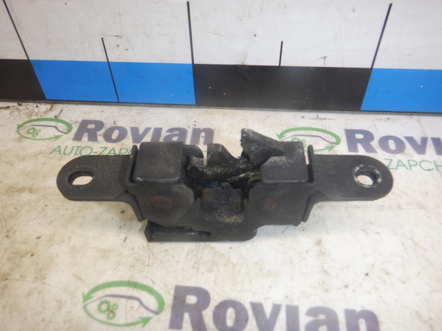 651306896R Renault (RVI)