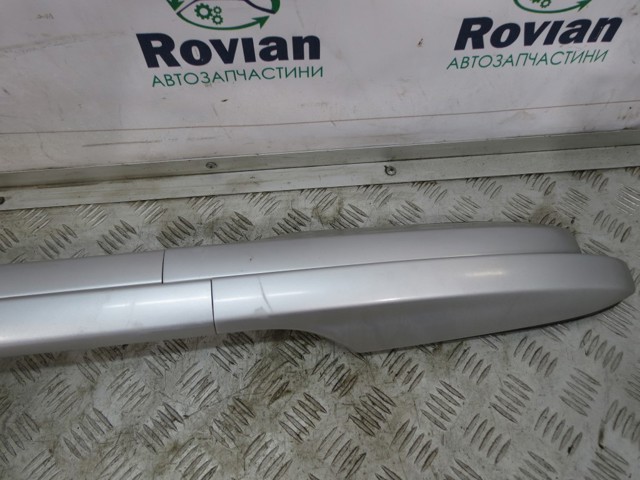 738200019R RENAULT Рейлинг крыши правый купить в Полтава