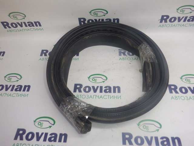 768600509R Renault (RVI)