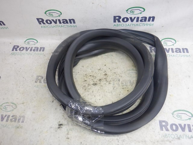 769234807R Renault (RVI)