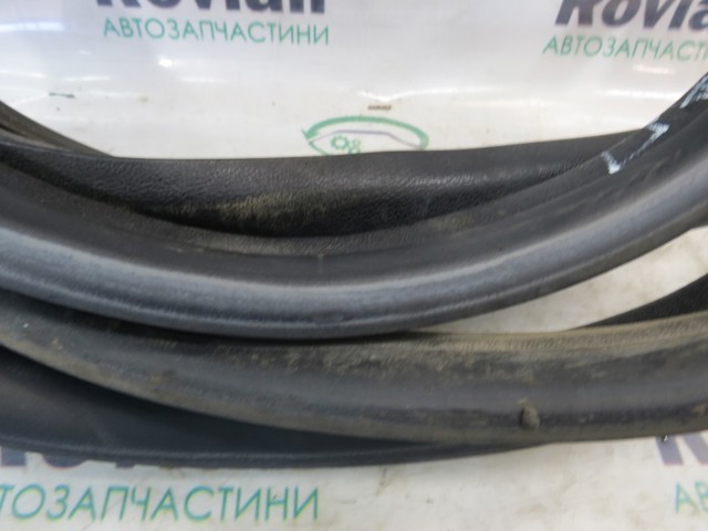 769235630R RENAULT Уплотнитель двери задней правой (на кузове) купить в Украина