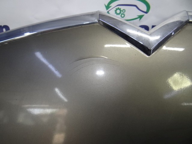 7901N7 PEUGEOT Капот купить в Полтава