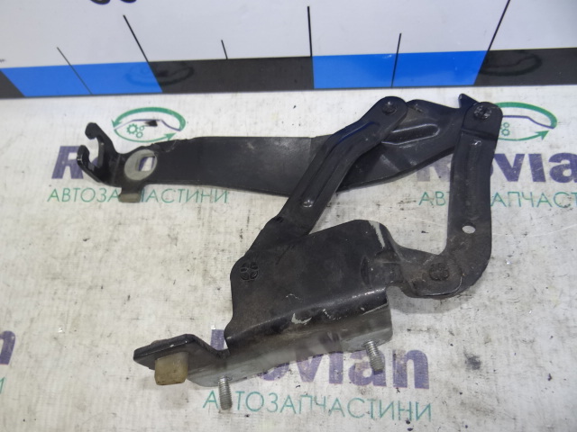 Петля капота, правая 8200081663 Renault (RVI)