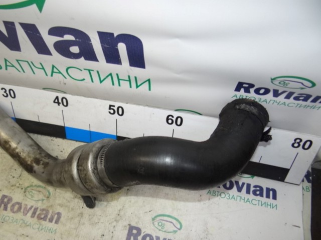 8200185556 RENAULT купить в Каменское