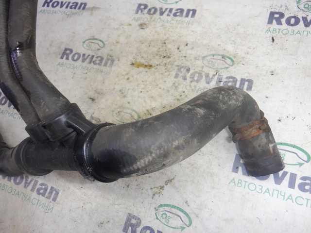 Шланг радиатора, нижний 8200233972 RENAULT