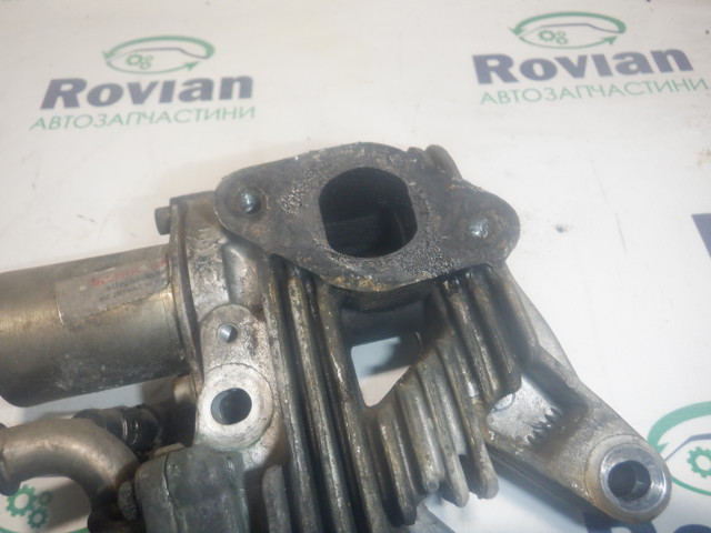 RENAULT 8200360566 в наличии Ровно