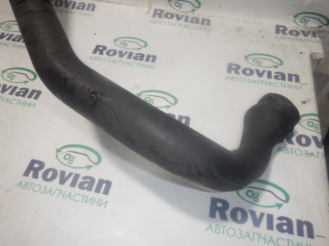 8200889766 RENAULT Патрубок интеркулера купить в Сумы