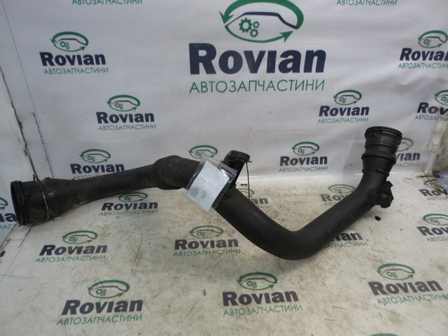 Патрубок интеркуллера 8200981498 RENAULT