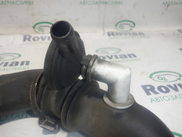 8201017505 RENAULT купить в Сумы