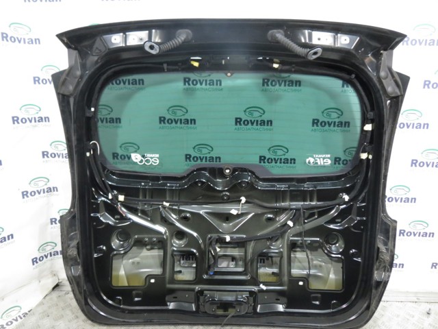 901003854R RENAULT Дверь задняя (багажная 3/5-я (ляда) купить в Тернополь