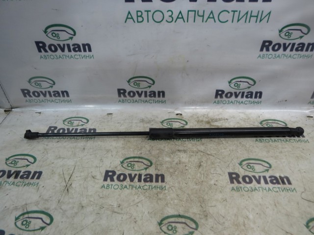 904506697R Амортизатор багажника купить Тернополь