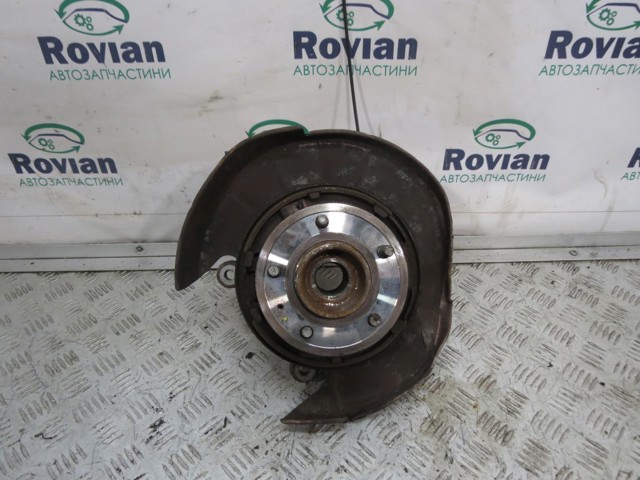 Цапфа - поворотный кулак задний, правый 96626434 GM