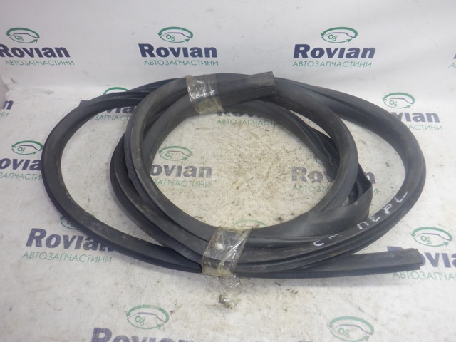Уплотнитель двери передней, на (кузове) AM51U20530BE FORD