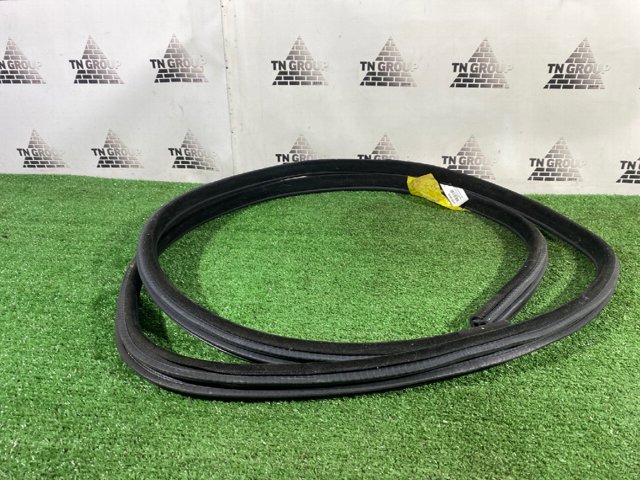 Уплотнитель двери задней, (на кузове) 51727289689 BMW