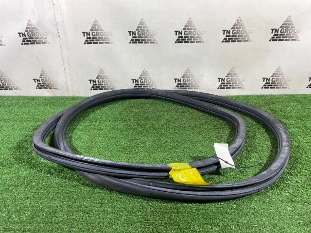 CHRYSLER 68225188AB Уплотнитель двери задней (на двери) в наличии Хмельницкий