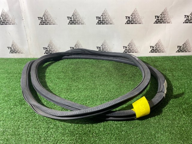 FORD FT4Z58253A10B Уплотнитель двери задней (на кузове) в наличии Черновцы