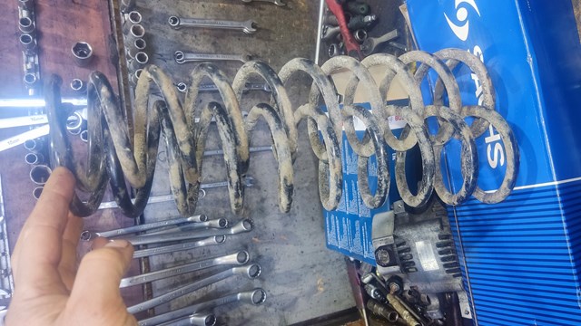 SACHS 996905 Пружина задняя в наличии Кривой Рог