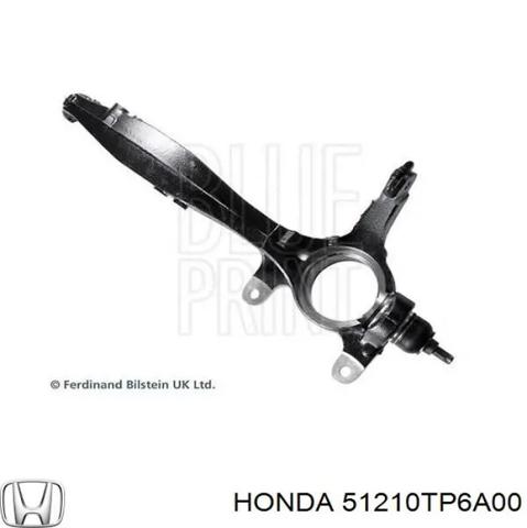 51210TP6A00 HONDA Цапфа (поворотный кулак) передний правый купить в Каменское