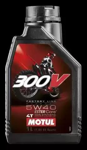 Масло моторное синтетическое 104134 MOTUL
