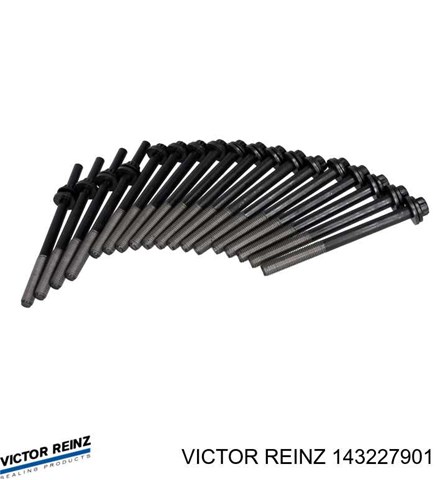143227901 VICTOR REINZ Болт ГБЦ купить в Ирпень