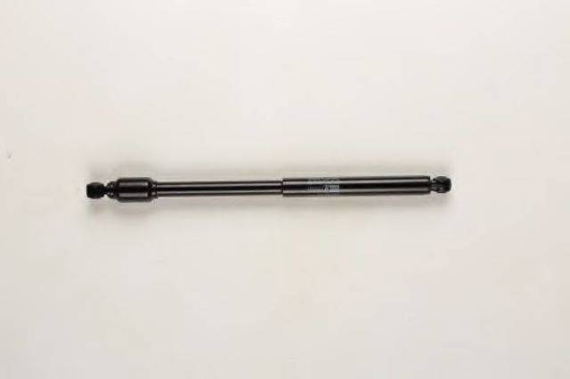 Демпфер рулевой 18002461 BILSTEIN