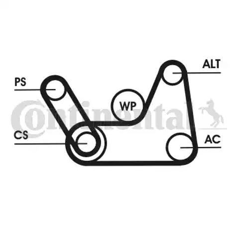 Ремень агрегатов приводной, комплект 6PK1019ELASTT1 CONTINENTAL