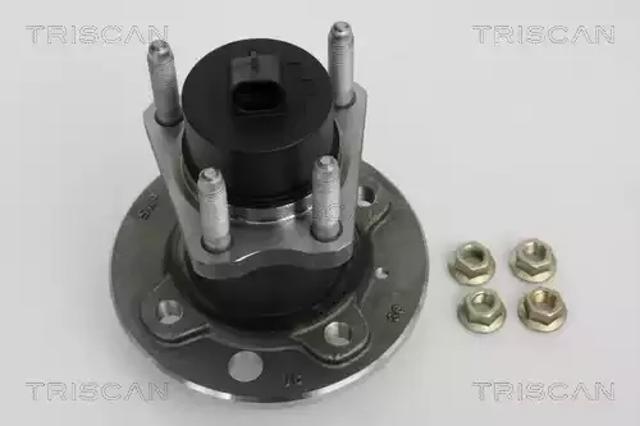 Ступица задняя (шпиндель) 853024213 TRISCAN