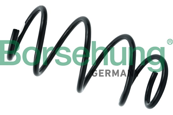 Пружина передняя B12564 BORSEHUNG