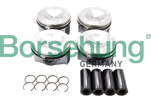 Комплект поршней B13574 BORSEHUNG