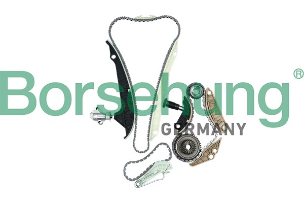 Набор цепи грм B16298 BORSEHUNG