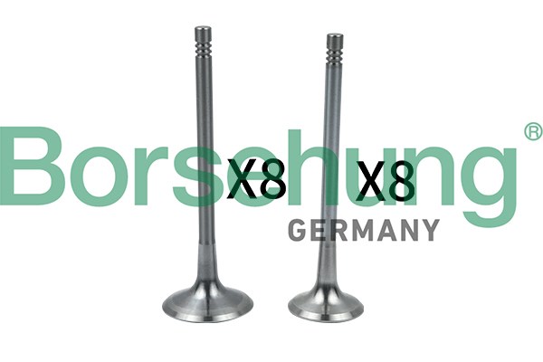 Впускной клапан B18634 BORSEHUNG